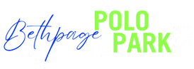 Website Logo
